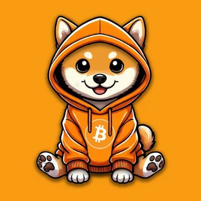 DOG Coin Reserves icon